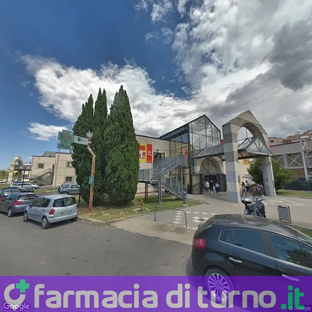 Tarquinia Multiservizi