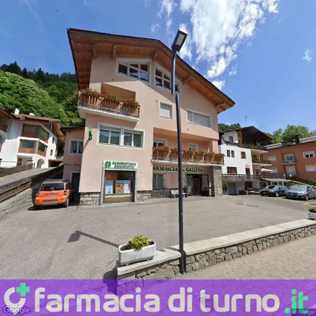 ANTICA FARMACIA DOTT.SSA GALLINA FRANCA