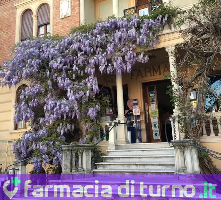 Farmacia Panciroli