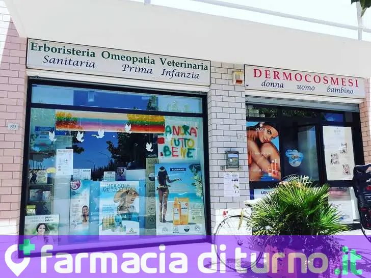 Rispoli Dr. Filomena