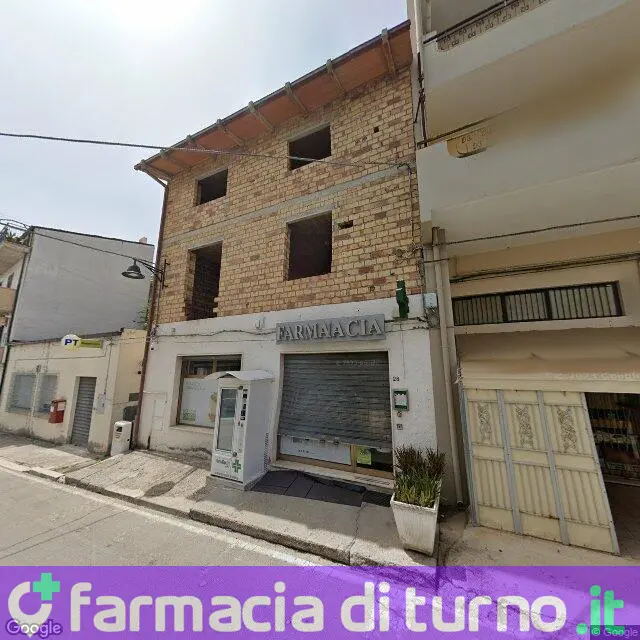 Cerquitelli Dr. Michelina