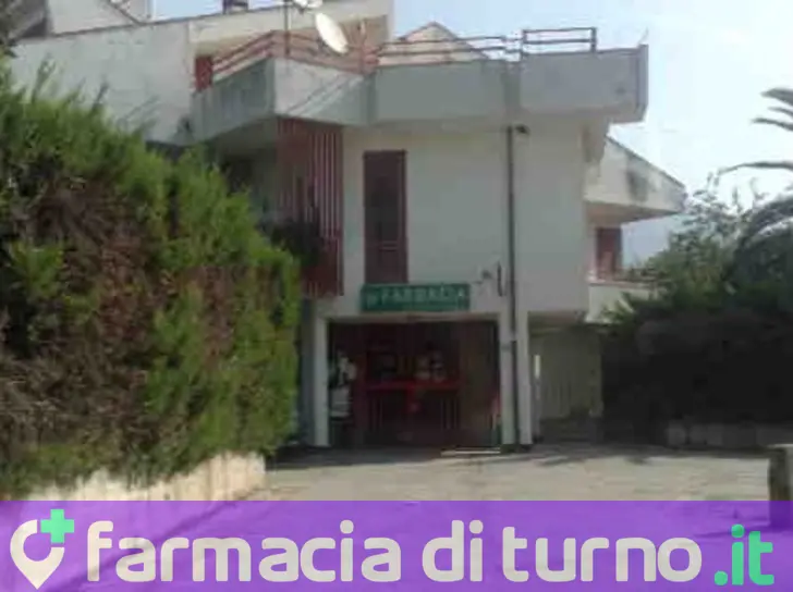 Ruotolo Domenica