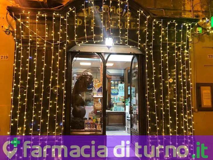 Farmacia Del Leone