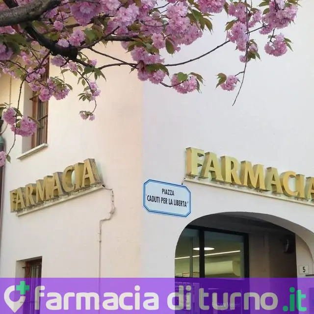 Farmacia Mellano