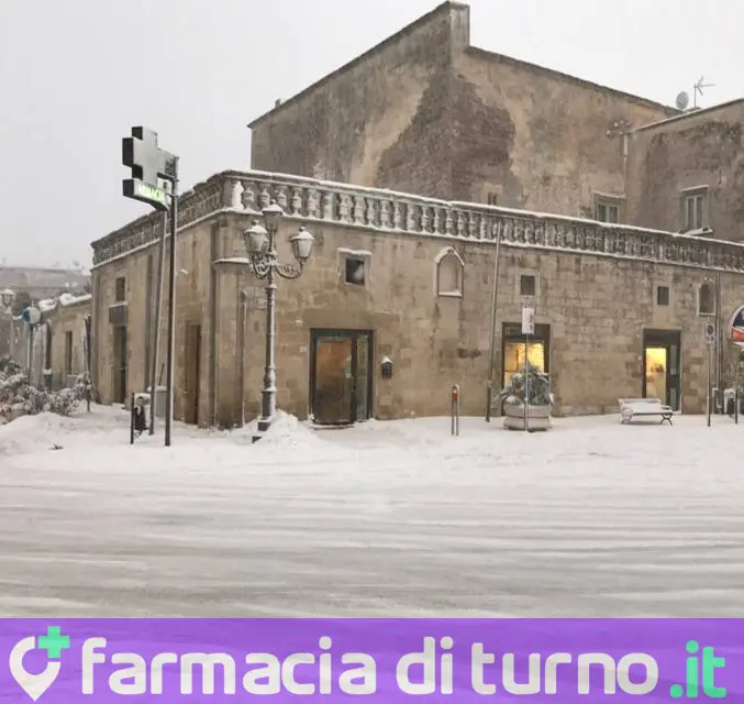 Farmacia Palma Dr. Mario