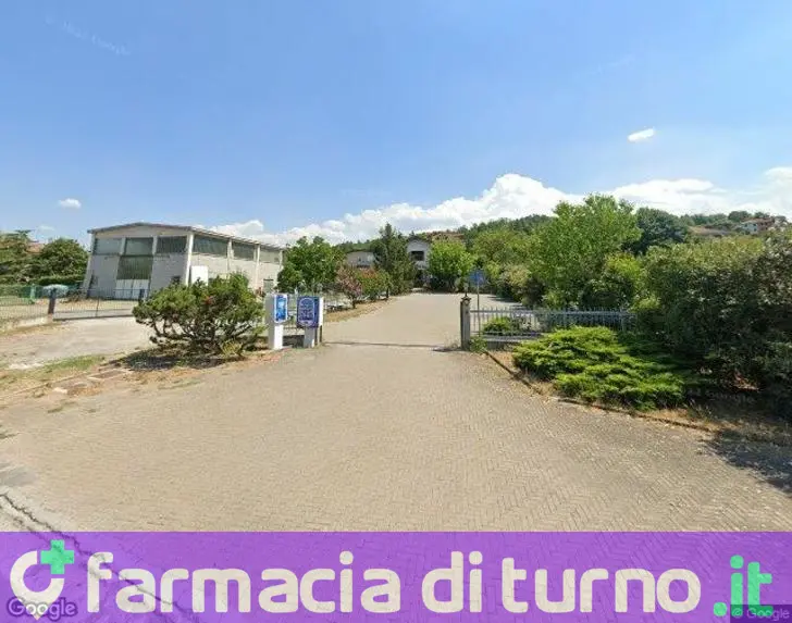 Farmacia Pareto