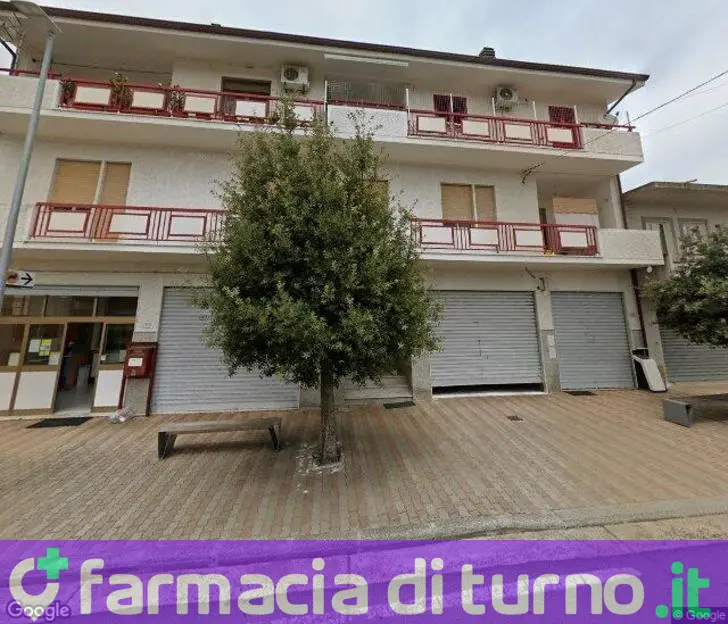 Manca Grazia